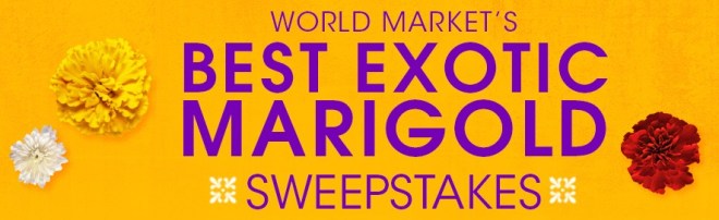 World Market’s Best Exotic Marigold Sweepstakes